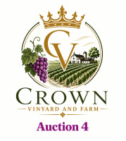 Crown Farm Equipment Online Auction 4