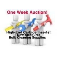 Industrial Online Auction (#256)