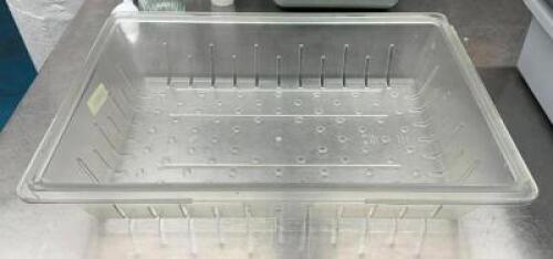 DESCRIPTION: (3) PERFORATED PLASTIC BINS SIZE: 18"X26" LOCATION: KITCHEN QTY: 3