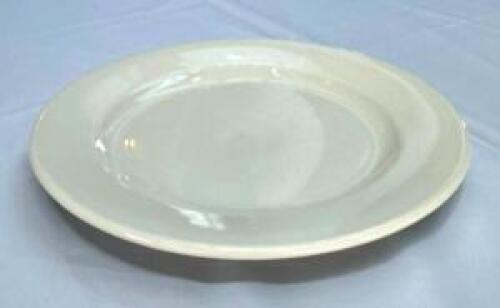 DESCRIPTION: (24) 9.5" CHINA PLATES LOCATION: 7TH FLOOR QTY: 24