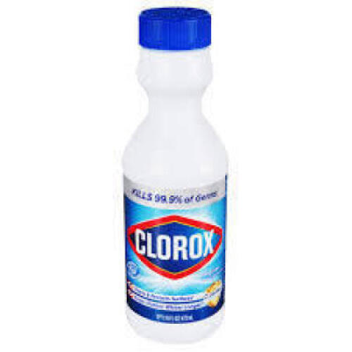 (6) DISINFECTING BLEACH