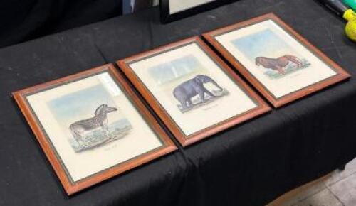 (3) - SAFARI ANIMAL FRAMED PRINTS