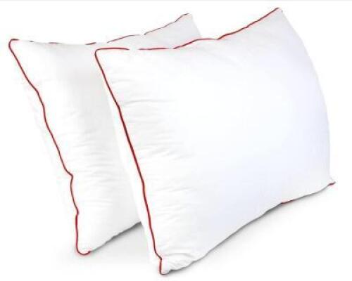 PREMIUM SLEEPING PILLOWS - SET OF 2