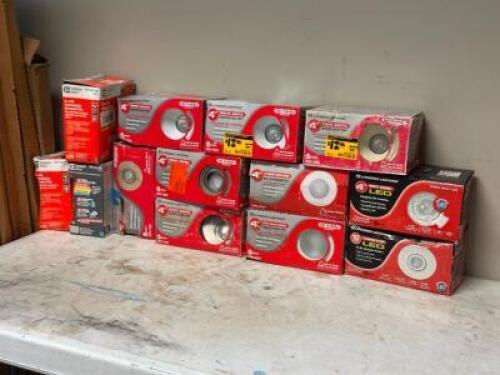 (10) - ASSORTED CEILING LIGHTS