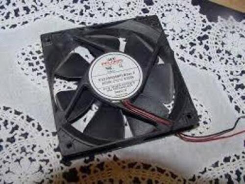 DESCRIPTION: (10) FAN BRAND/MODEL: PELONIS #G1225Y24BPLB1W INFORMATION: USED, SEE INSPECTION RETAIL$: $25.99 EA QTY: 10