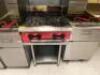 DESCRIPTION AVANTCO FOUR BURNER GAS RANGE W/ STAINLESS EQUIPMENT STAND. BRAND / MODEL: AVANTCO ADDITIONAL INFORMATION NATURAL GAS LOCATION KITCHEN QTY - 2