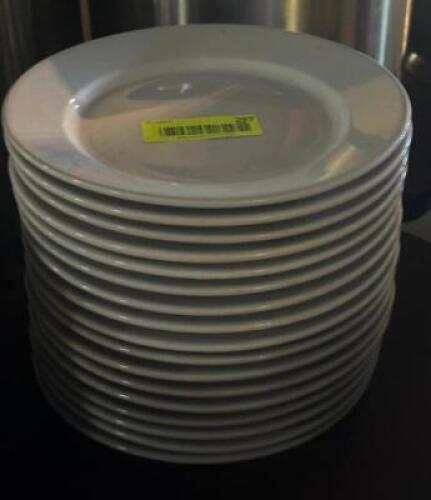 DESCRIPTION: (16) - DINNER PLATES SIZE: 9" LOCATION: TABLES THIS LOT IS: SOLD BY THE PIECE QTY: 16