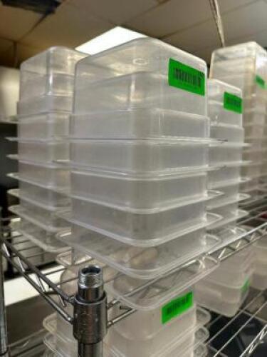 DESCRIPTION (12) 1/6 SIZE PLASTIC INSERTS ADDITIONAL INFORMATION 4" DEEP THIS LOT IS: SOLD BY THE PIECE LOCATION KITCHEN QTY 12