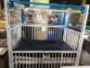 DESCRIPTION: (1) PEDIATRIC ICU HOSPITAL CRIB BRAND/MODEL: HARD INFORMATION: WHITE, BLUE MATTRESS, SEE INSPECTION RETAIL$: $6652.00 EA QTY: 1 - 5