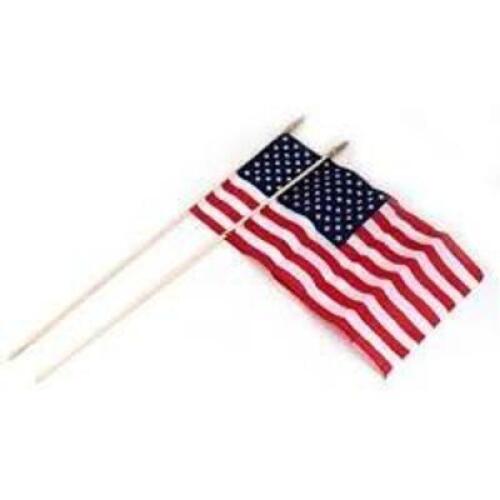 DESCRIPTION: (12) PACKS OF (2) US FLAGS BRAND/MODEL: BETSY #BTUSE12P INFORMATION: AMERICAN FLAG SIZE: 12" X 18" RETAIL$: $5.24 PER FLAG QTY: 12