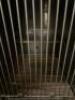 (2) - STAINLESS STEEL MODULAR KENNEL CAGE - 8