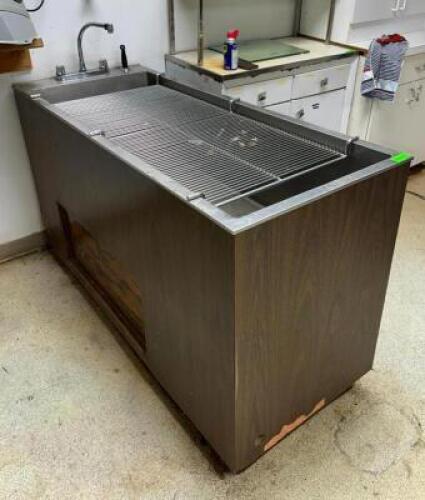TREATMENT TABLE / DOG WASH STATION