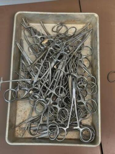 LARGE GROUP OF CURVED HEMOSTATS