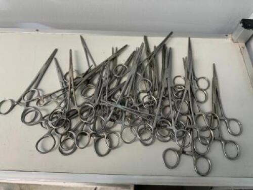 LARGE GROUP OF STRAIGHT NOSE FORCEPS