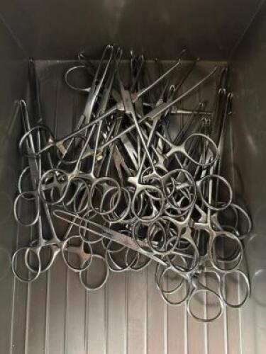 LARGE GROUP OF ALICE TISSUE FORCEPS