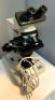 NIKON ALPHAPHOT YS MICROSCOPE