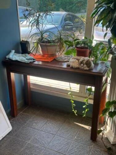 TABLE WITH ASSORTED PLANTS AND CONTENTS