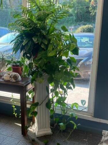 3 FT. PILLAR WITH PANT