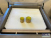 VACUUM SEALING MACHINE WITH BAGS - 4