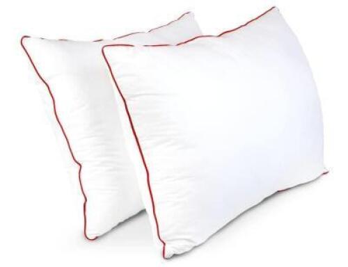 2 PACK DOWN ALTERNATIVE SLEEP PILLOWS
