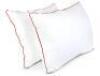 2 PACK DOWN ALTERNATIVE SLEEP PILLOWS