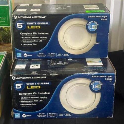 (3) - CEILING LIGHTS