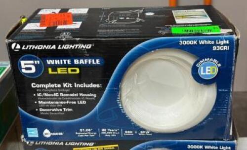 (2) - CEILING LIGHTS