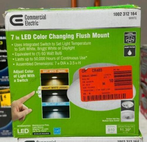 (2) - FLUSH MOUNTS