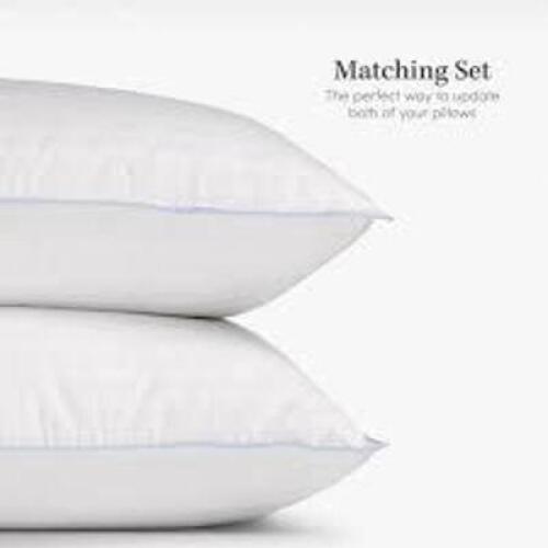 DESCRIPTION: (2) BED PILLOWS INFORMATION: WHITE RETAIL$: $39.99 EA QTY: 2