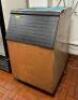LARGE ICE BIN