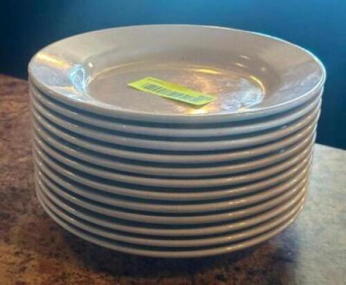 (12) - DINNER PLATES