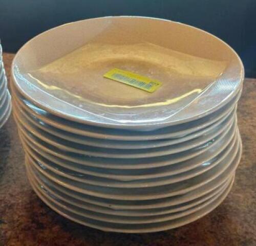 (12) - DINNER PLATES