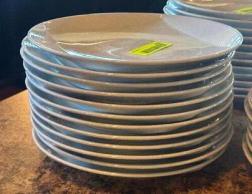 (12) - DINNER PLATES