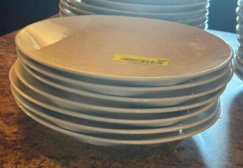 (6) - DINNER PLATES