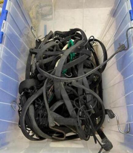 ASSORTED RUBBER CARGO STRAPS