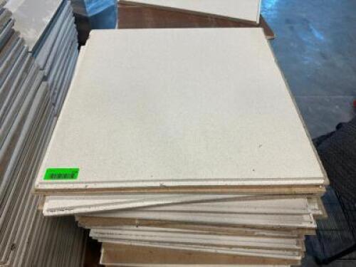 DESCRIPTION (110) 24" X 24" CEILING TILES THIS LOT IS: SOLD BY THE PIECE LOCATION LEFT SIDE CONSTRUCTION QTY 110