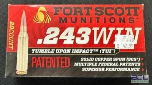 (6) 20CT BOXES OF 243 WINCHESTER AMMO