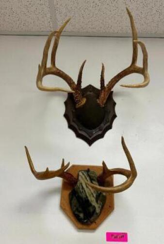 DESCRIPTION (2) ASSORTED MOUNTED ANTLERS THIS LOT IS: ONE MONEY LOCATION WEST WALL QTY 1