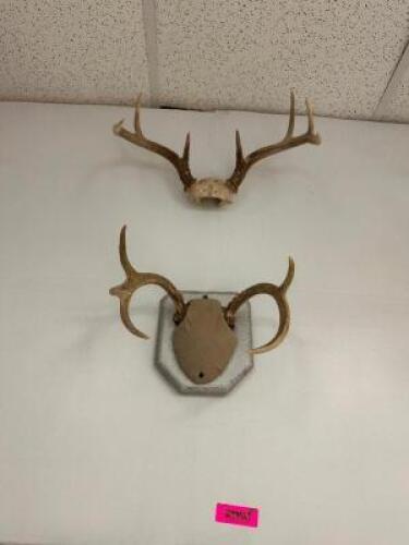 DESCRIPTION (4) ASSORTED MOUNTED ANTLERS THIS LOT IS: ONE MONEY LOCATION WEST WALL QTY 1
