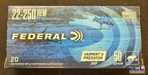 DESCRIPTION (9) 20CT BOXES OF 22-250 REMINGTON AMMO BRAND / MODEL: FEDERAL ADDITIONAL INFORMATION 50 GRAIN SIZE $35.99 EACH LOCATION AMMO WALL QTY 9