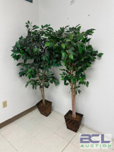 DESCRIPTION (2) - PLANTS SIZE STORAGE CLOSET LOCATION SOLD BY THE PIECE QTY 2