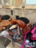 WESTERN BARREL RACING SHOW HORSE SADDLE WITH TACK SET - 9