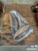 WESTERN BARREL RACING SHOW HORSE SADDLE WITH TACK SET - 5