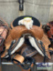 WESTERN BARREL RACING SHOW HORSE SADDLE WITH TACK SET - 8