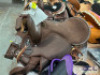 LIGHT WEIGHT WESTERN CORDURA SADDLE - 16