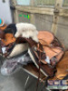 WESTERN BARREL RACING SHOW HORSE SADDLE WITH TACK SET - 13