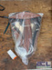 WESTERN BARREL RACING SHOW HORSE SADDLE WITH TACK SET - 7