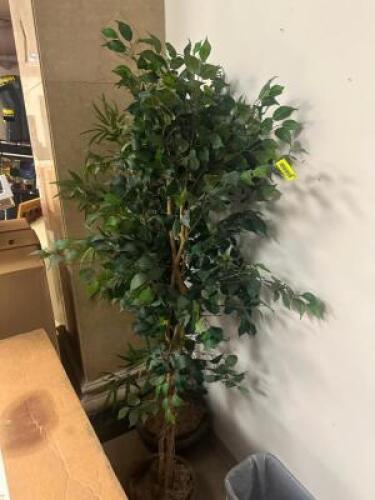 (2) - PLANT DECORATIONS