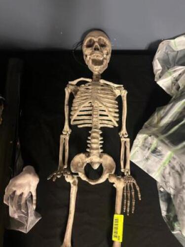 HANGING SKELETON