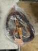 WESTERN BARREL RACING SHOW HORSE SADDLE WITH TACK SET - 11